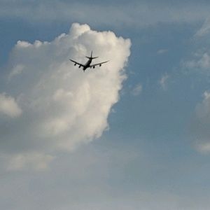 Meet your Posher, Stella